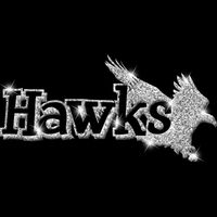 GLT17 SILVER GLITTER Thumbnail