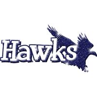 GLT17 BLUE GLITTER Thumbnail